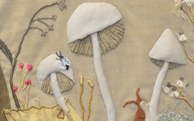 Fabulous Fashionable Fungi | Mushroom Clothing Comes To Life