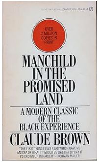 Manchild in the Promised Land Cover by Claude Brown